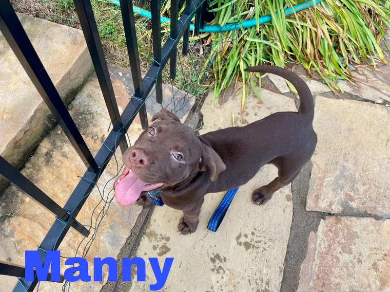 Manny thumbnail 2