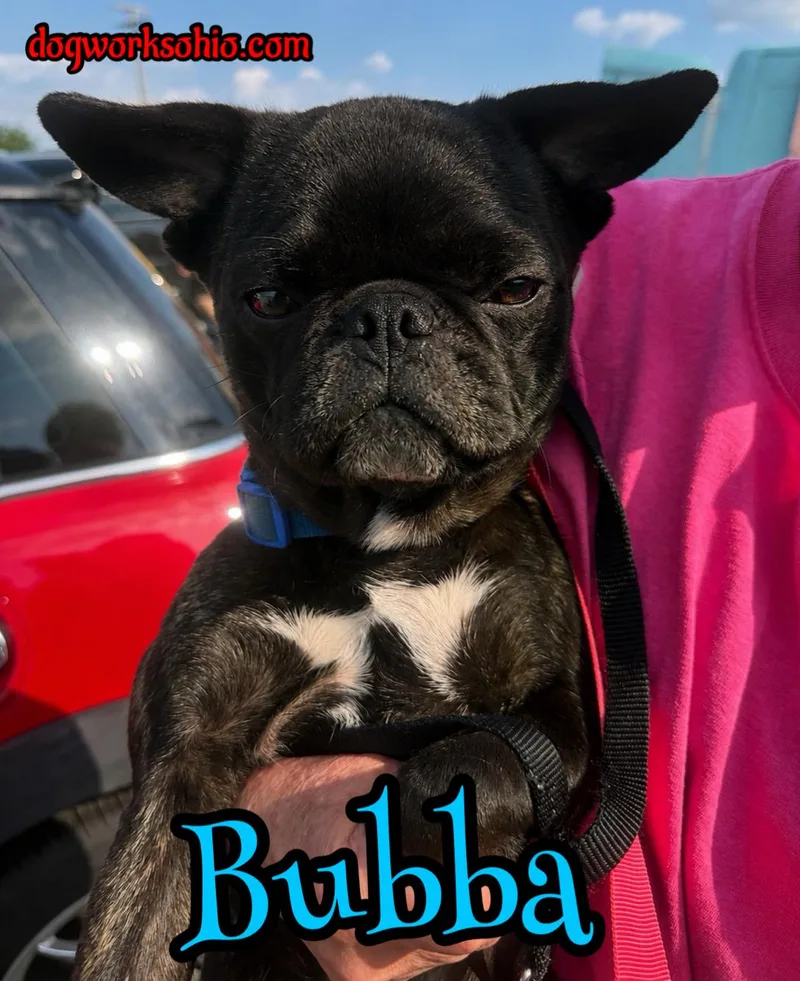 Bubba thumbnail 2