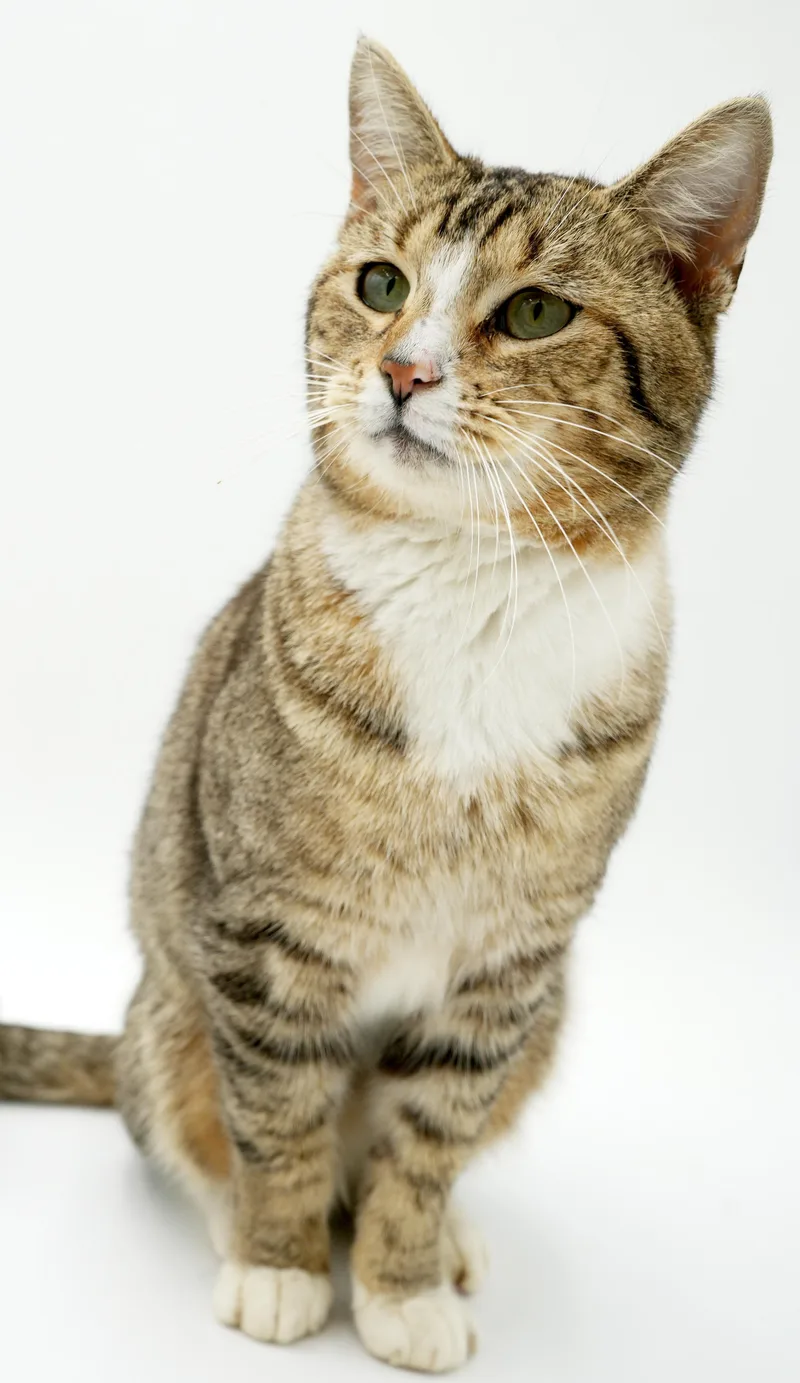 Lewie Our Lover Lover thumbnail 4