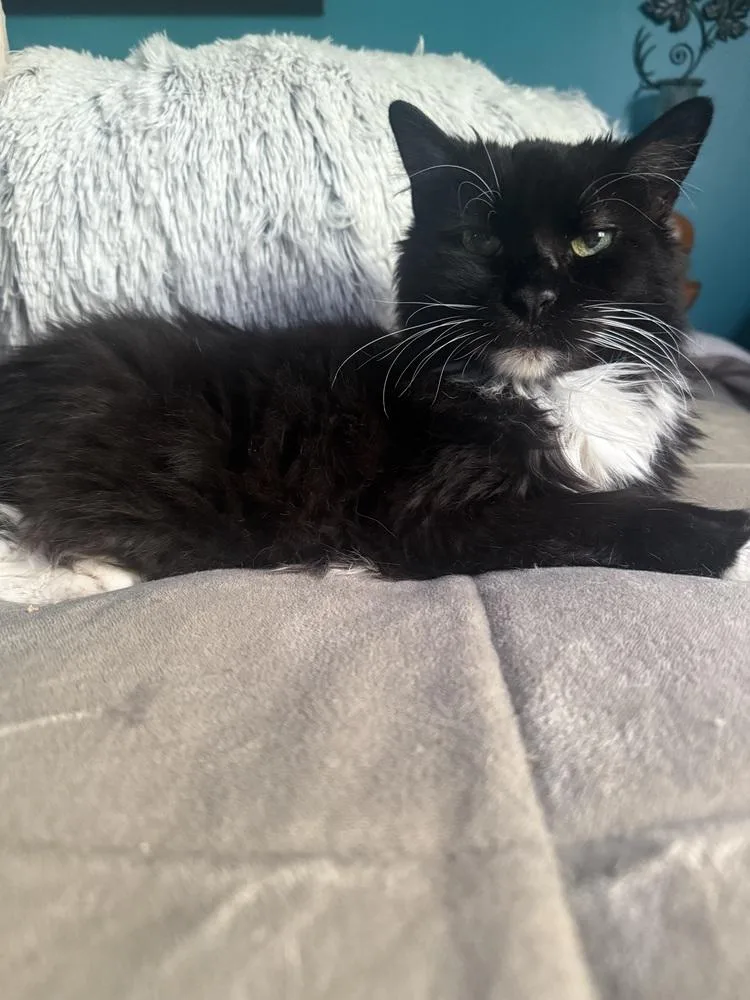 Madeline thumbnail 2