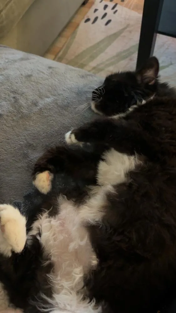 Madeline thumbnail 4