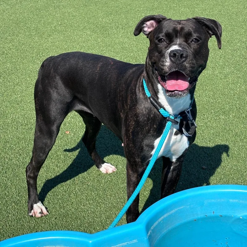 Audacity thumbnail 2