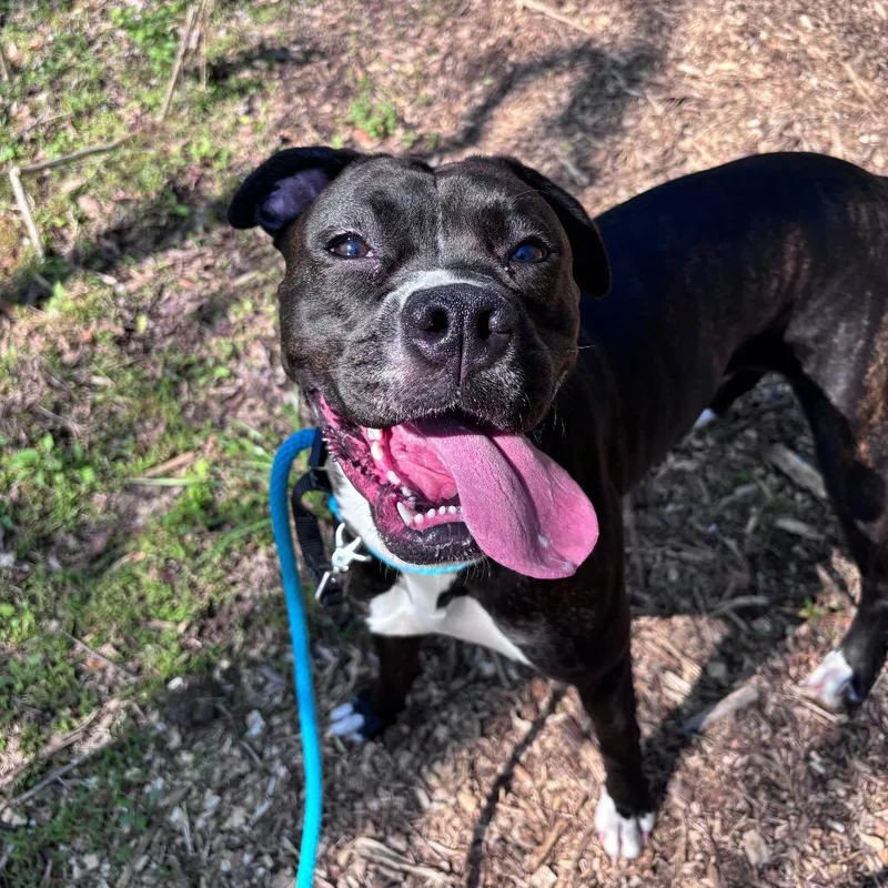 Audacity thumbnail 3