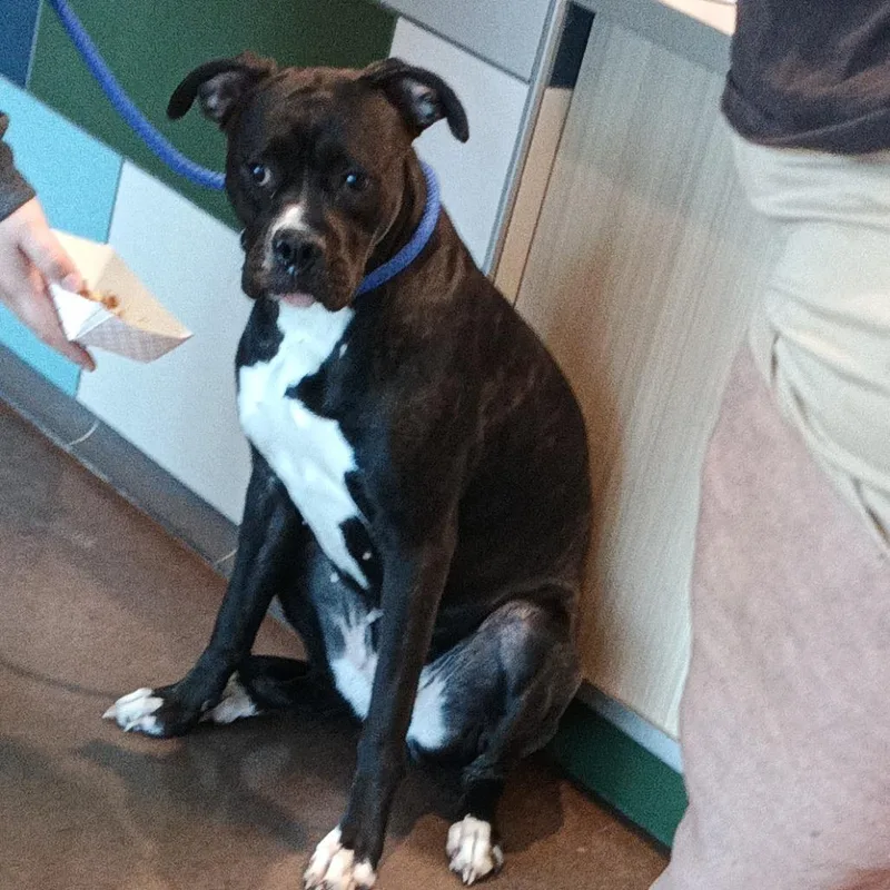 Audacity thumbnail 4