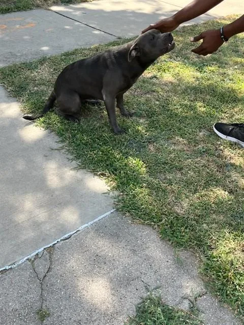 Big Mama