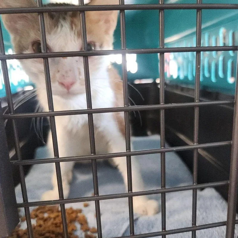 Hercules thumbnail 2