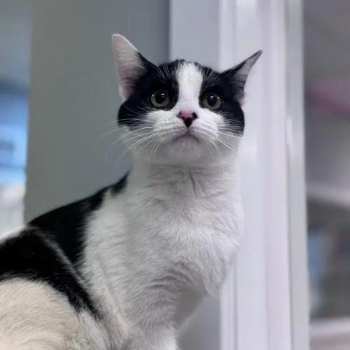 Marrakesh thumbnail 2