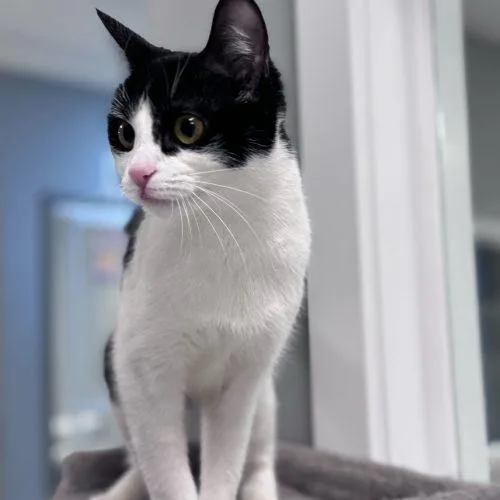 Marrakesh thumbnail 3