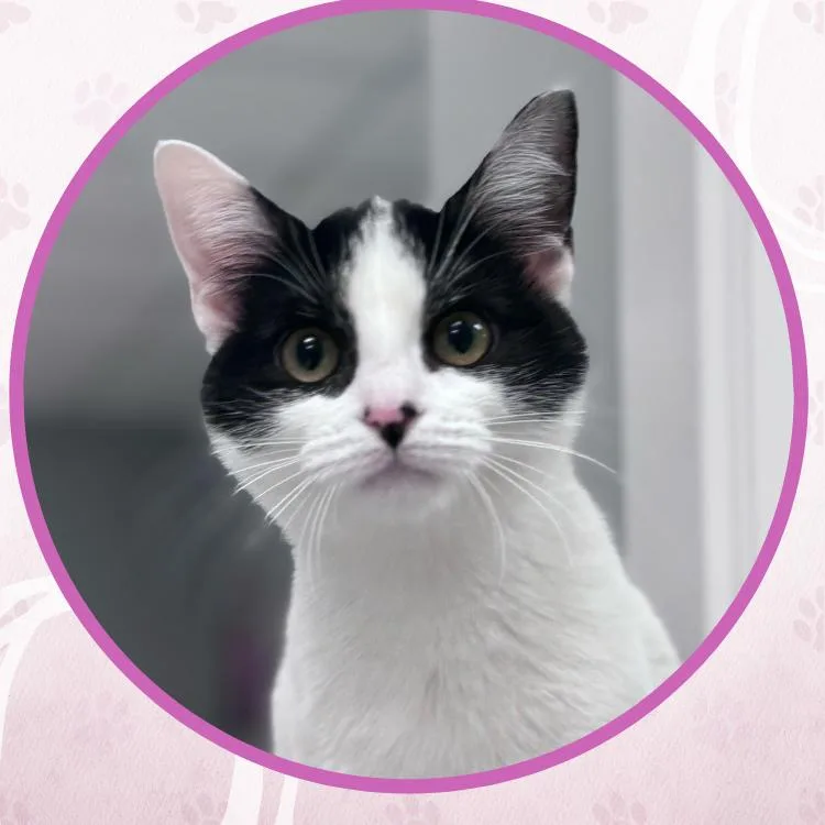 Marrakesh thumbnail 4