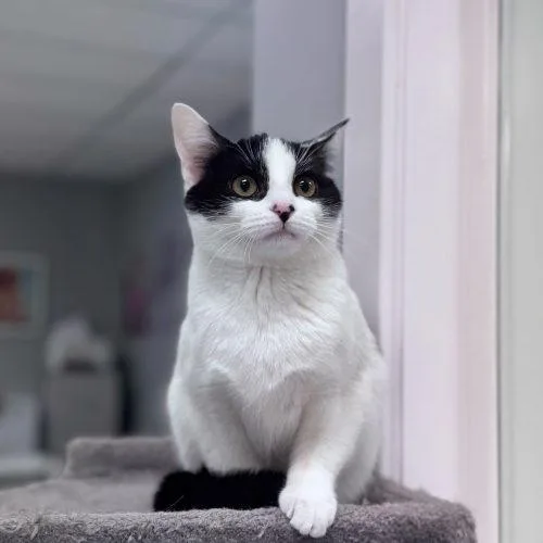 Marrakesh thumbnail 5