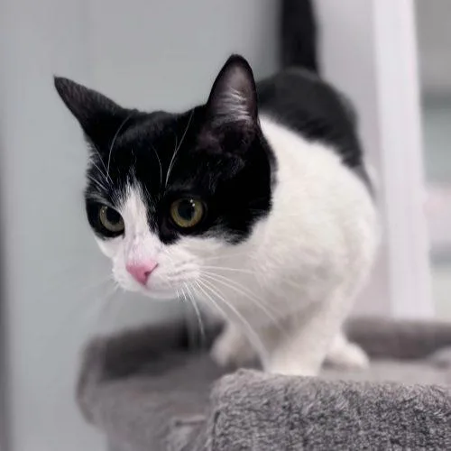 Marrakesh thumbnail 6