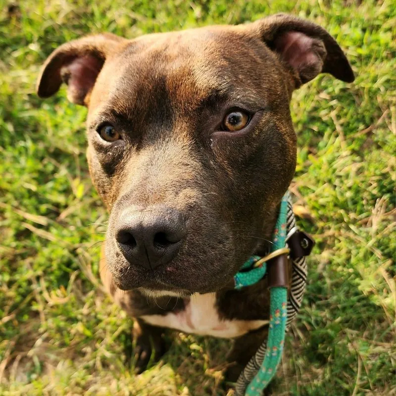 Flynn Rider thumbnail 2