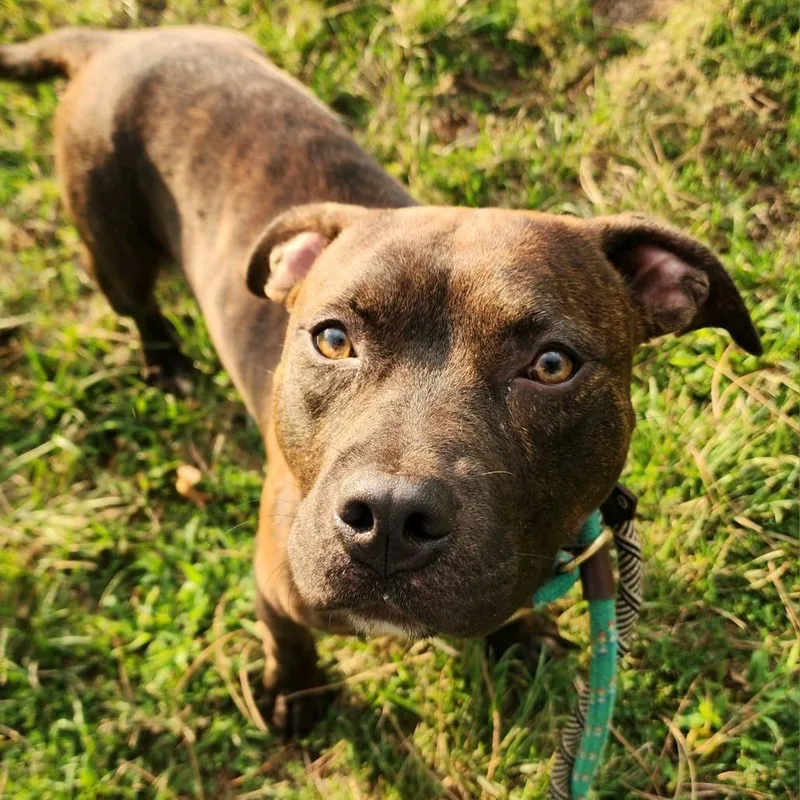 Flynn Rider thumbnail 3