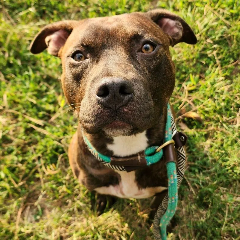 Flynn Rider thumbnail 4