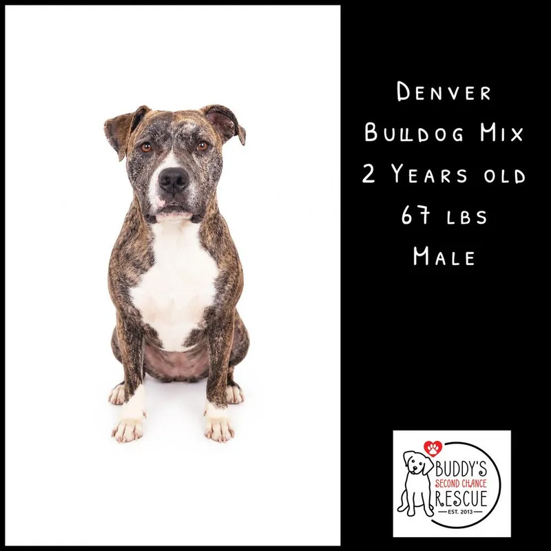 Denver