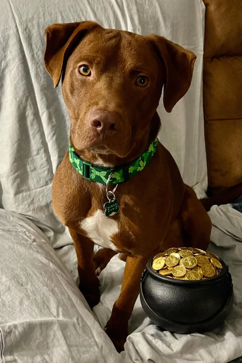 Melbourne thumbnail 3