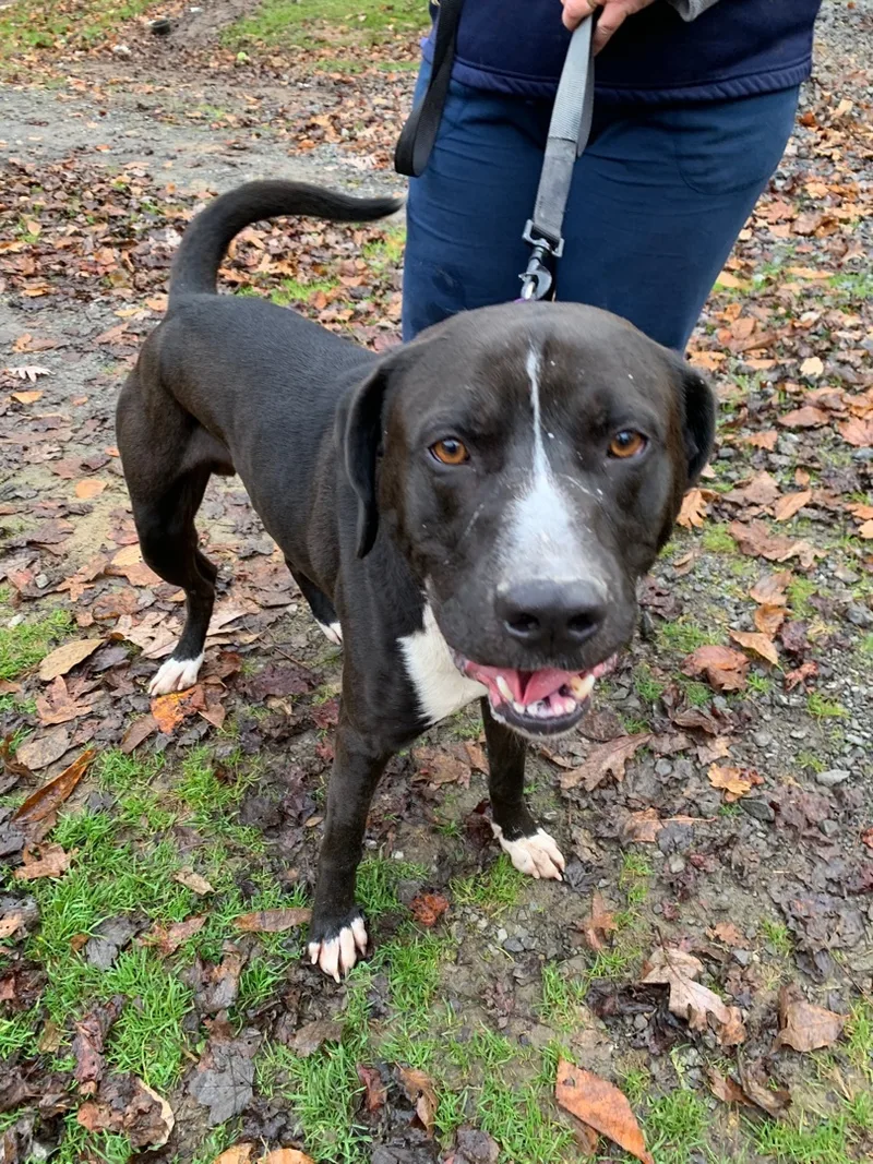 Guinness thumbnail 3