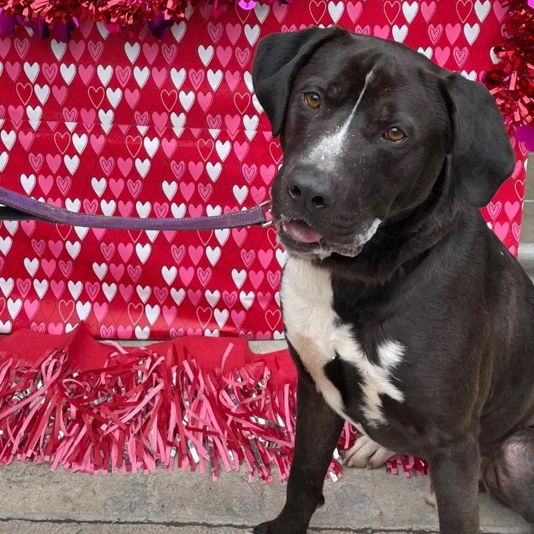 Guinness thumbnail 4