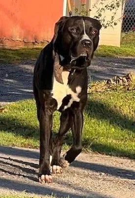 Guinness thumbnail 5