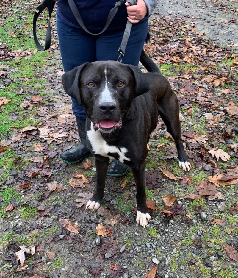 Guinness thumbnail 6