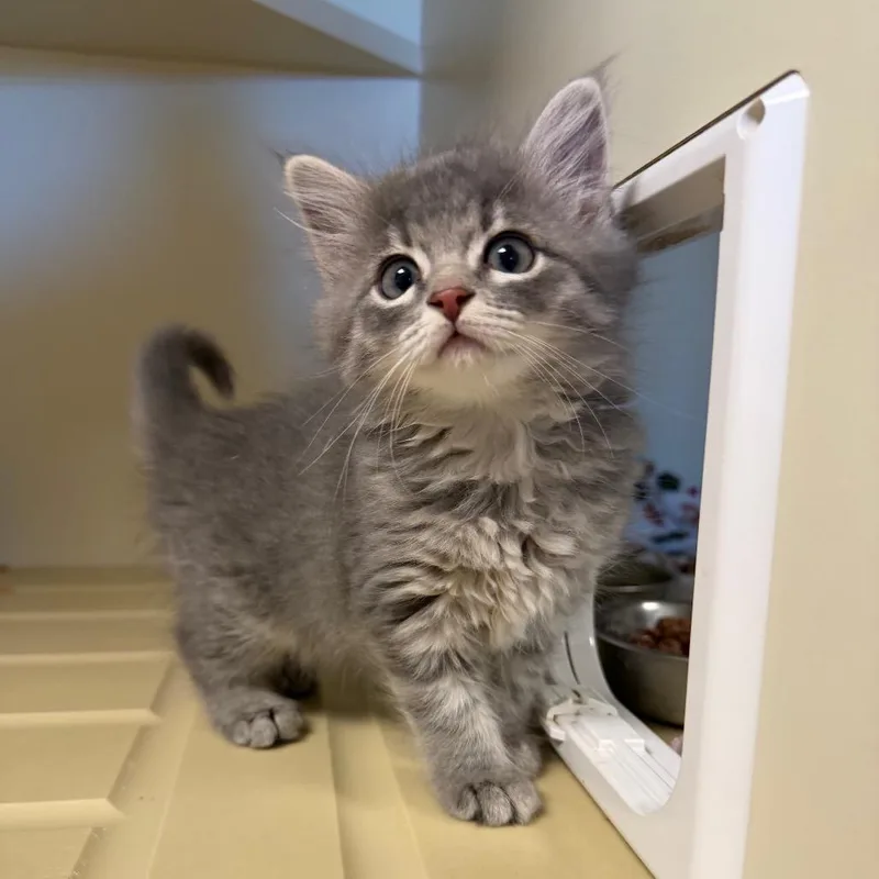 Lava Girl thumbnail 2