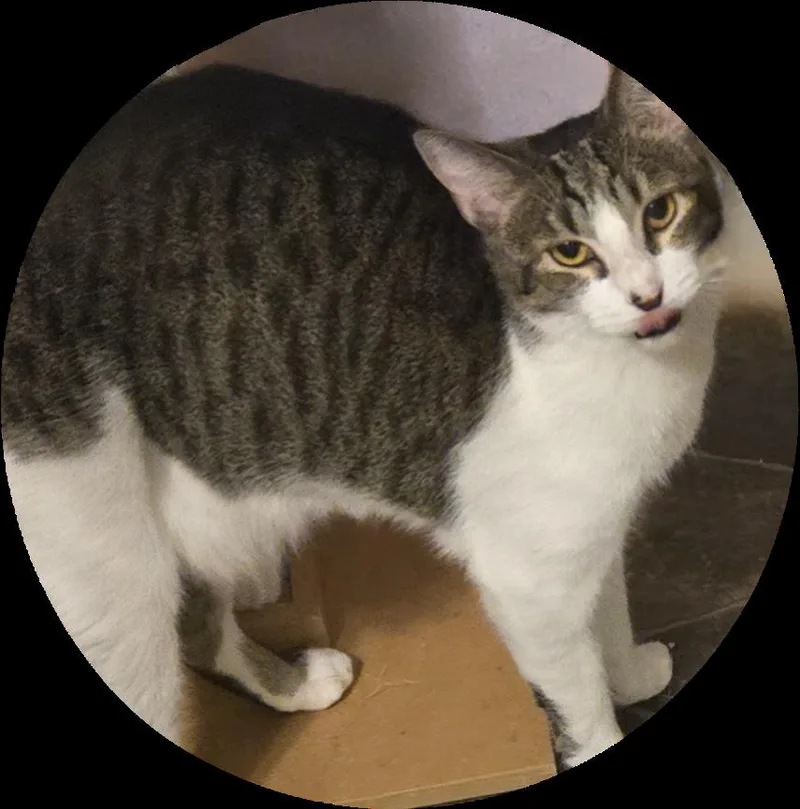 Wildfire thumbnail 2