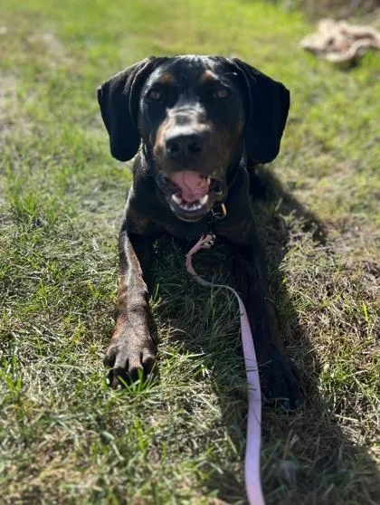 Marley