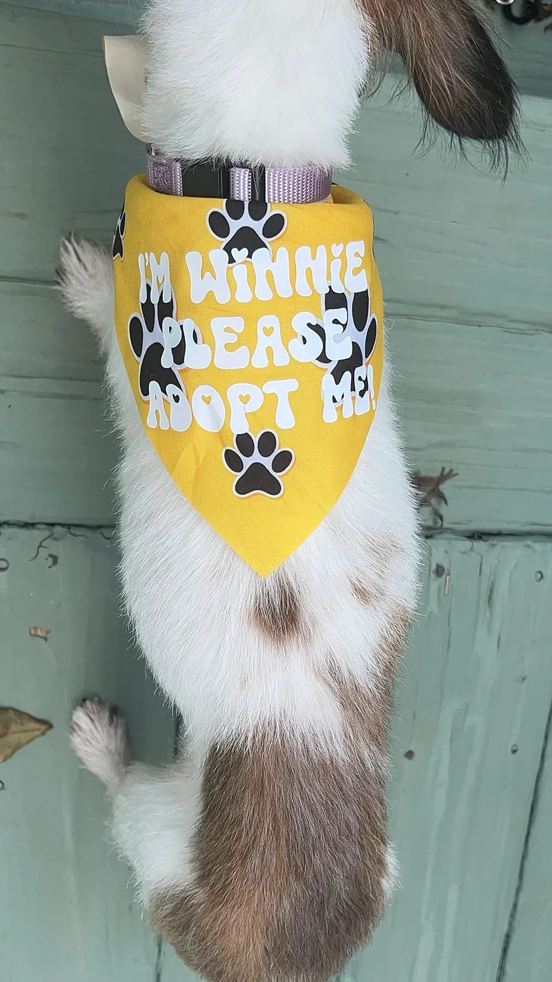 Winnie