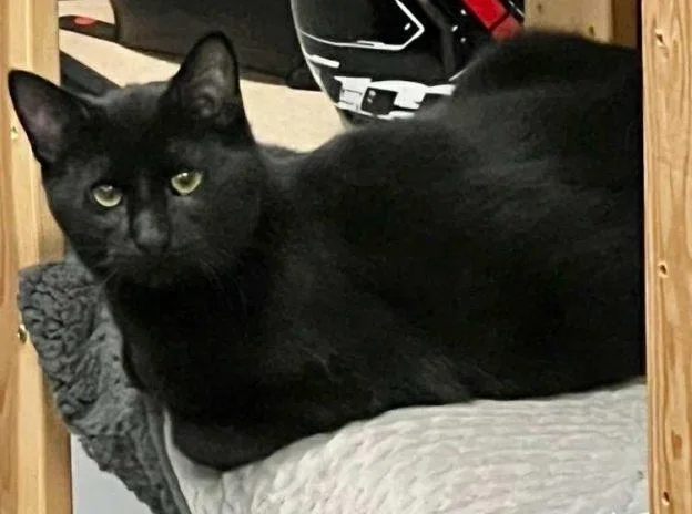 Callie And Jasper thumbnail 2