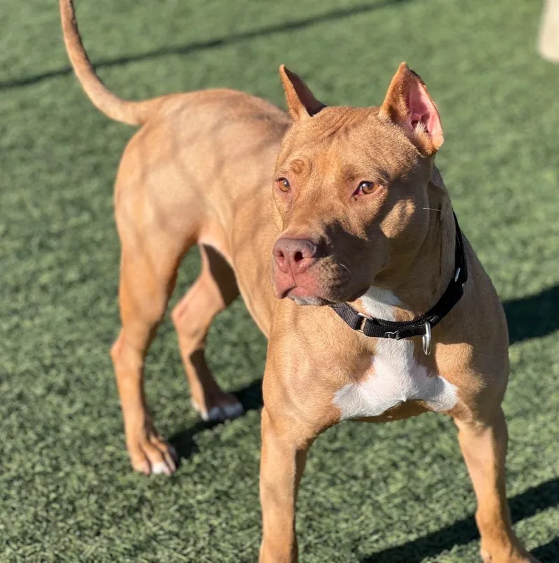 Valentina thumbnail 3