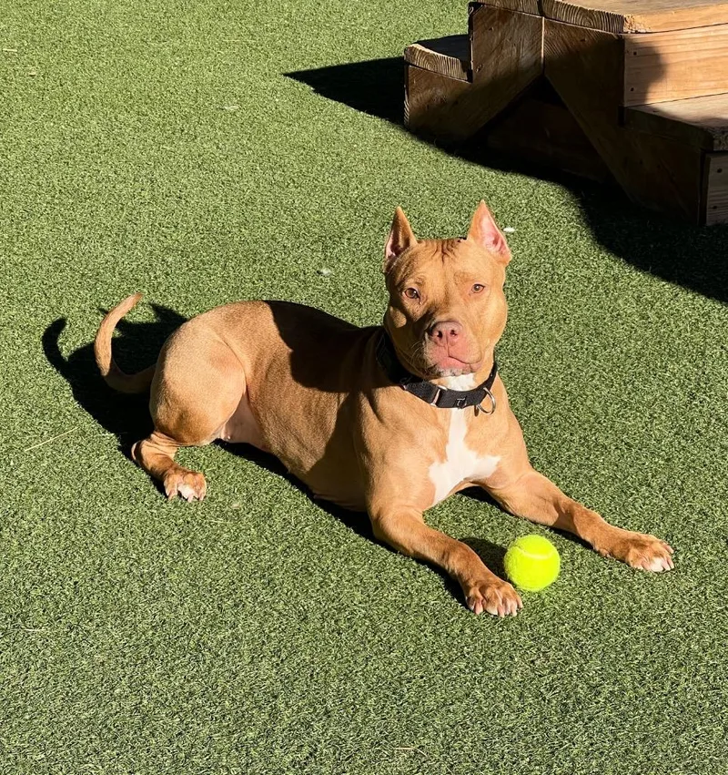 Valentina thumbnail 4