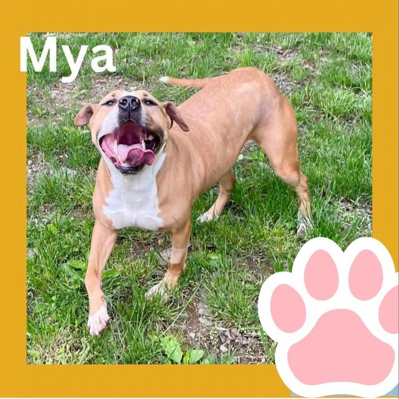 Mya thumbnail 5