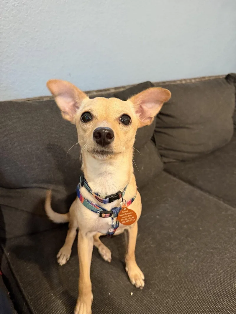 Rosita aka Rosie
