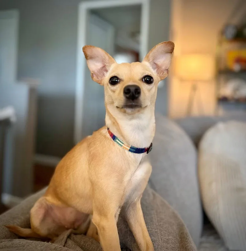 Rosita aka Rosie thumbnail 3