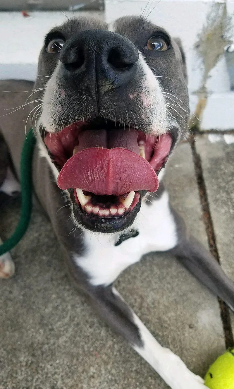 Blue Steele thumbnail 3