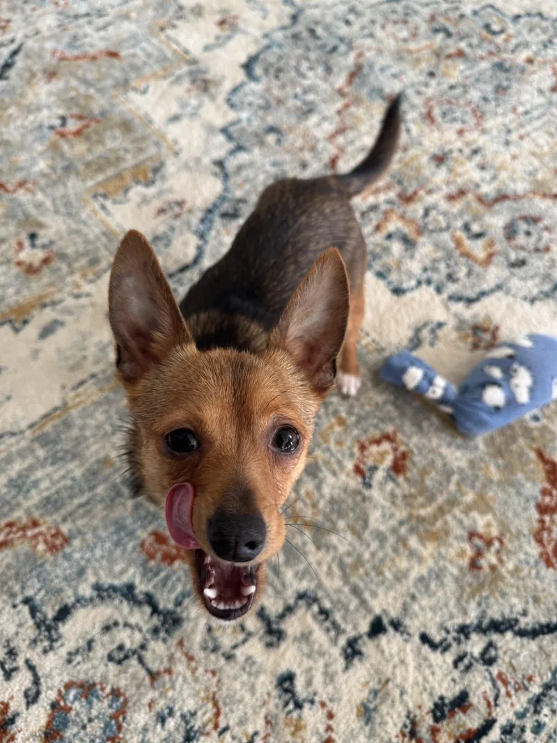 Kikkoman thumbnail 3