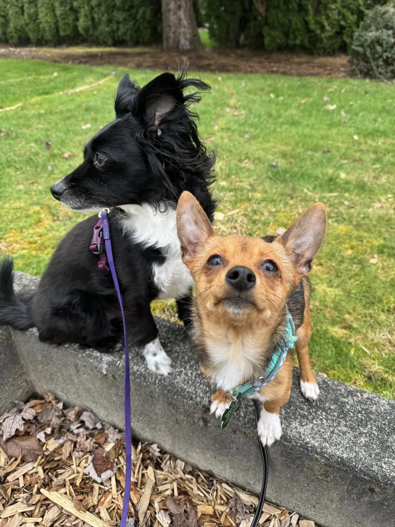 Kikkoman thumbnail 4