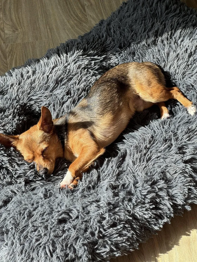 Kikkoman thumbnail 5