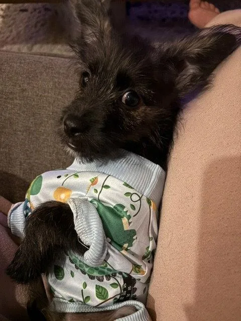 Jake