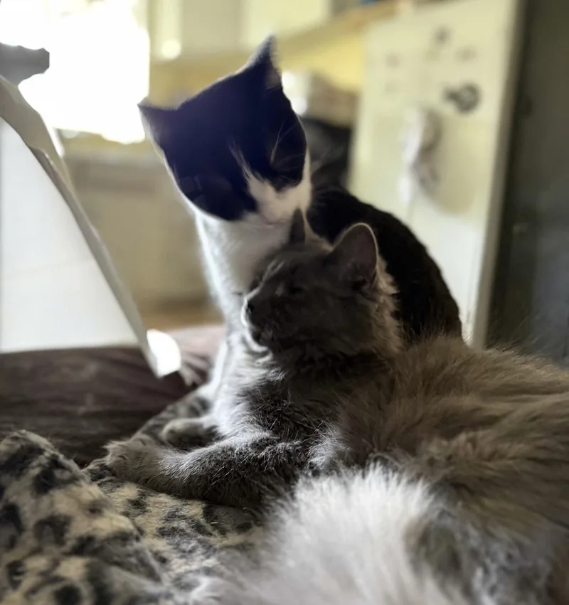 Maddy & Teri thumbnail 3