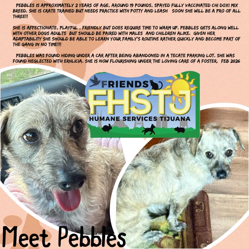Pebbles thumbnail 6