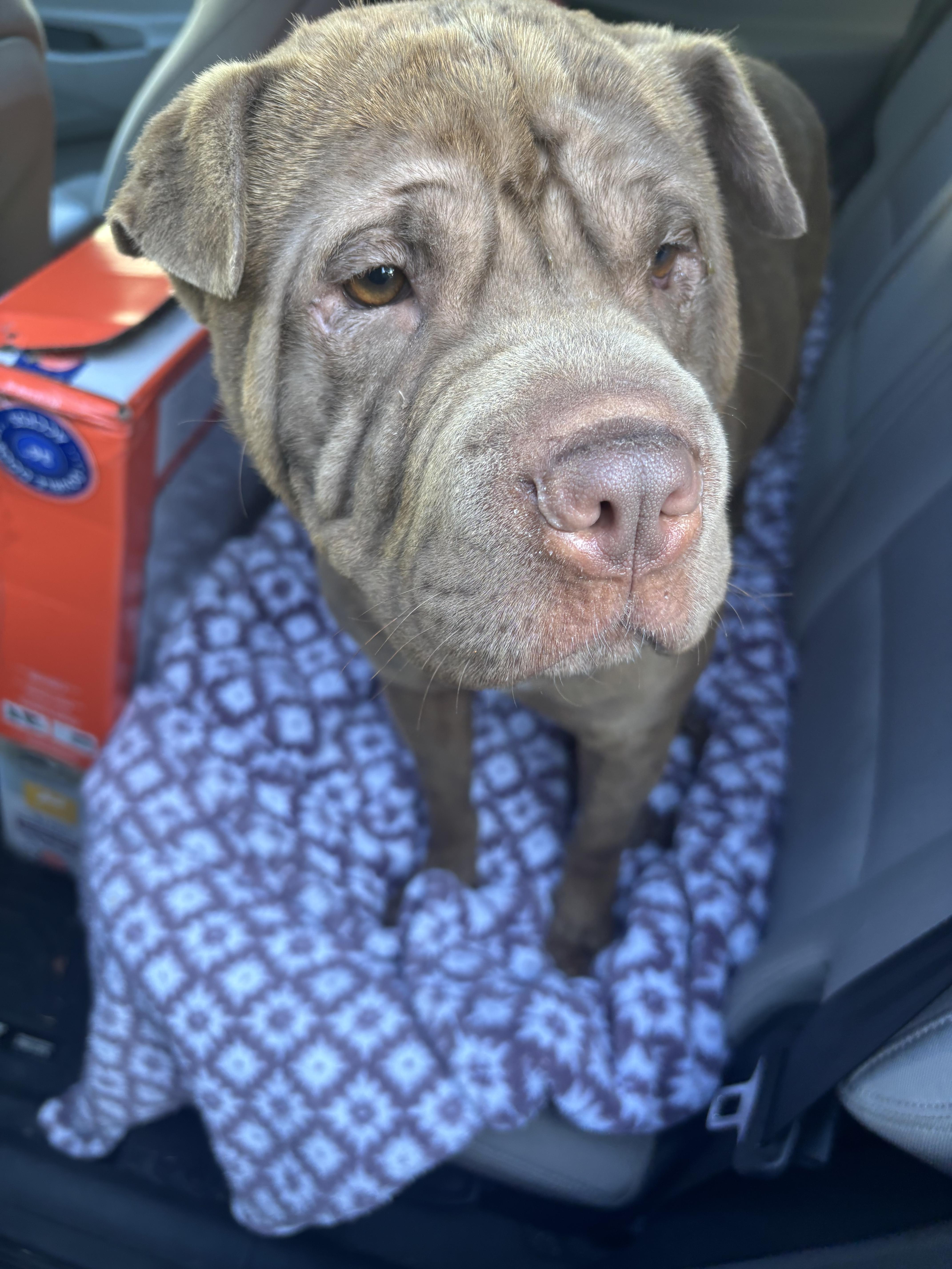 Reese’s thumbnail 3