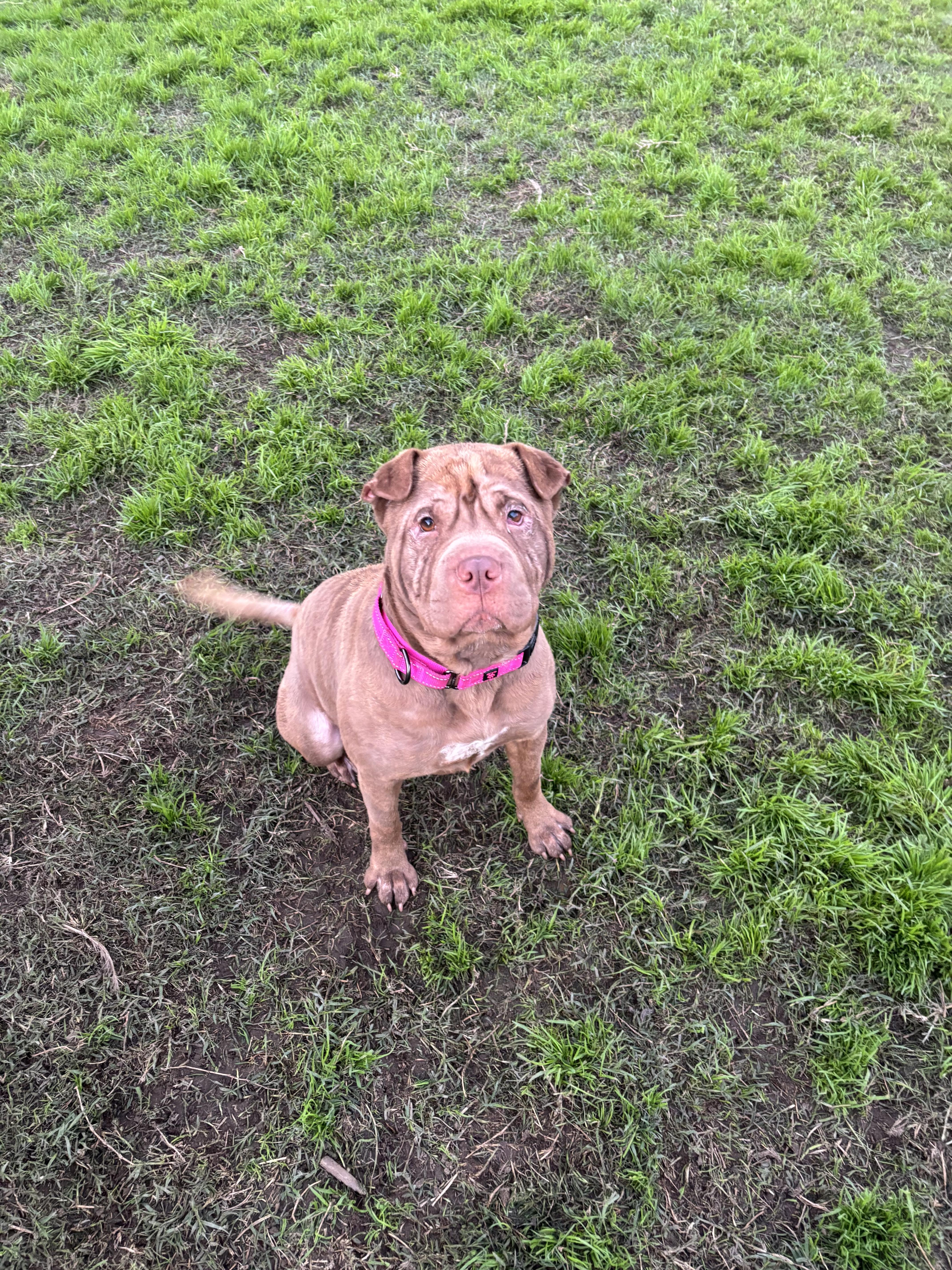 Reese’s thumbnail 5