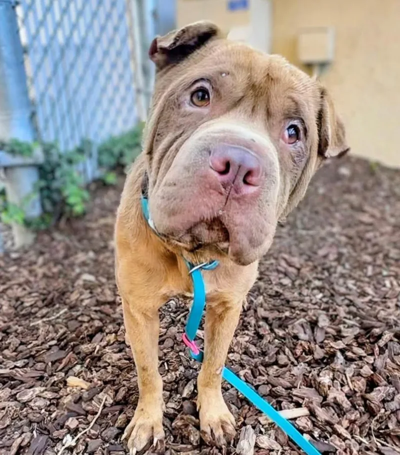 Reese’s thumbnail 6