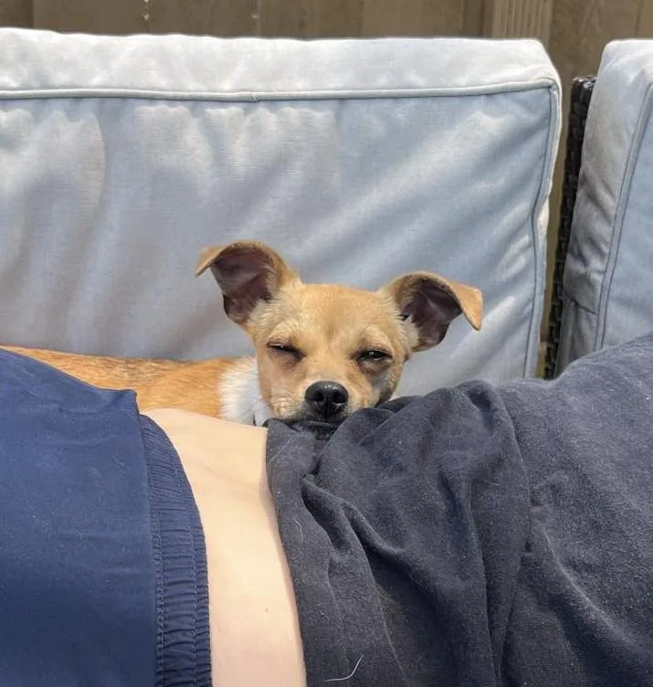 Wednesday thumbnail 2