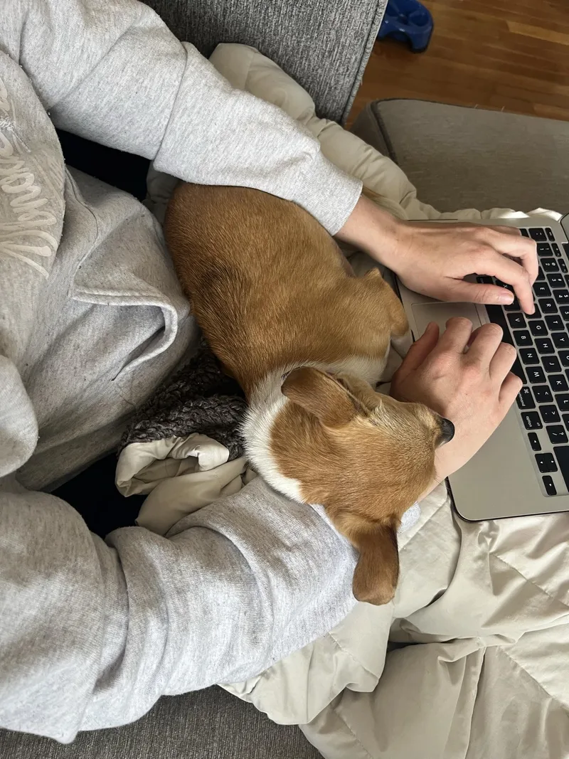 Wednesday thumbnail 3