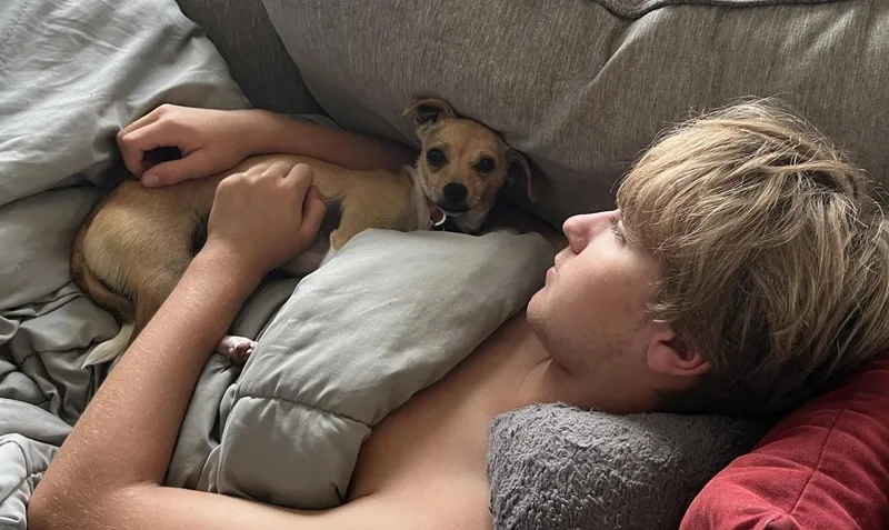 Wednesday thumbnail 5