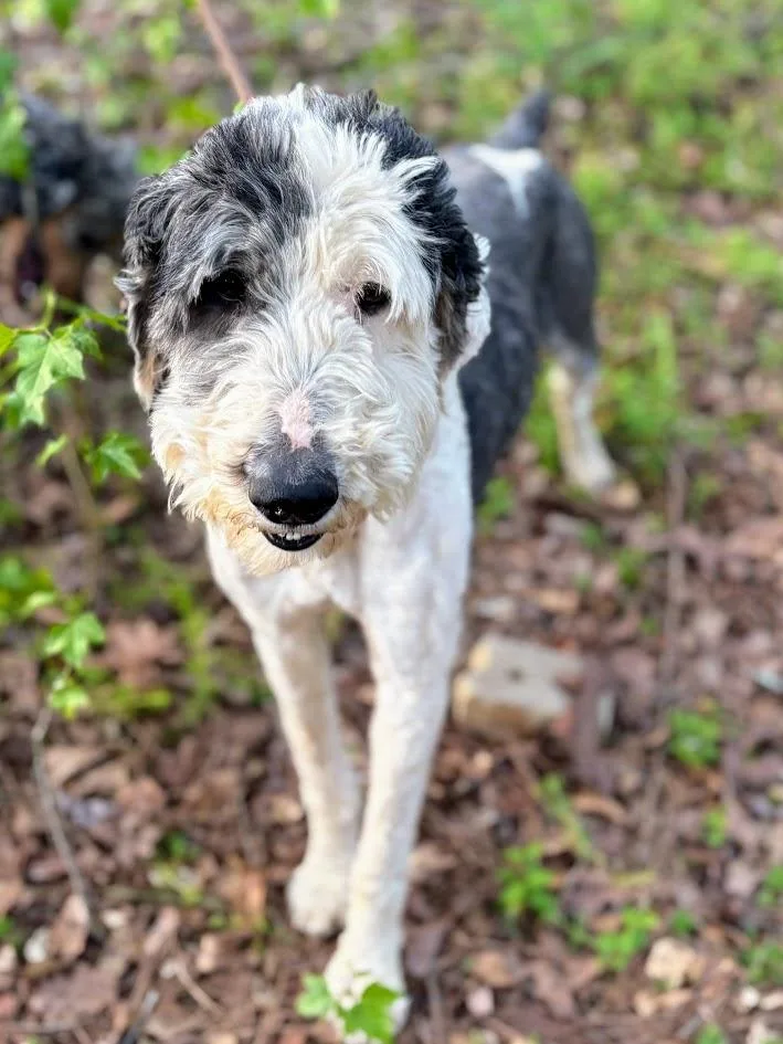 River Banks thumbnail 2