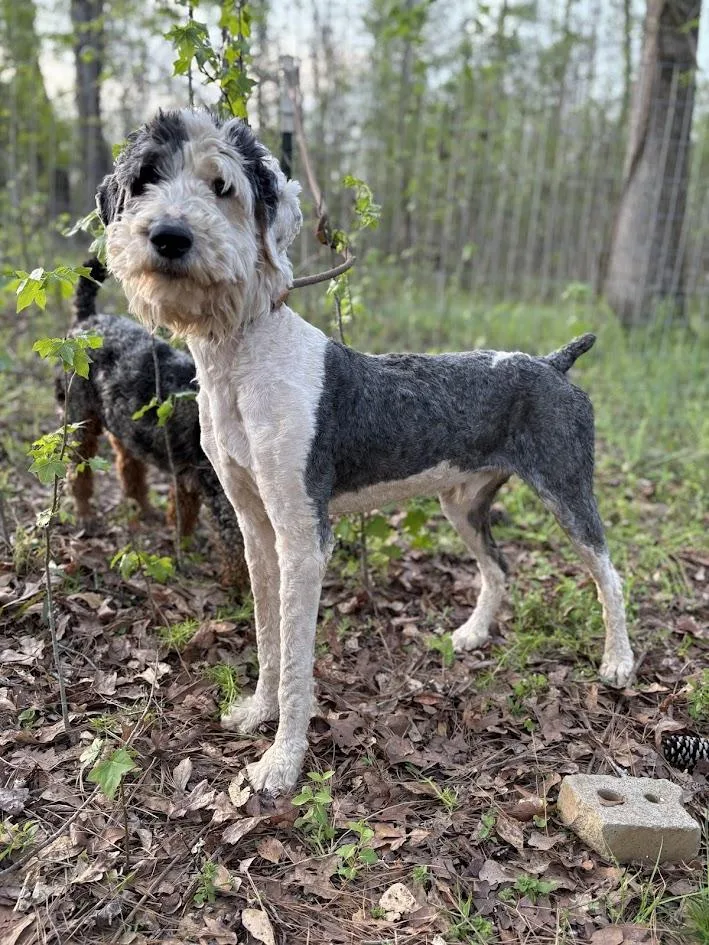 River Banks thumbnail 3