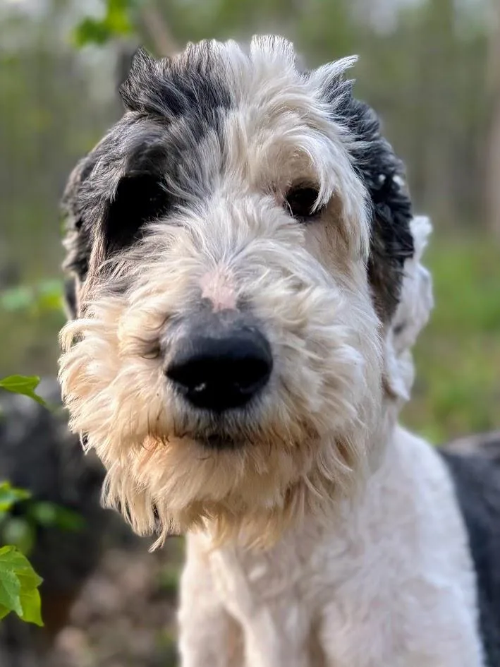 River Banks thumbnail 4